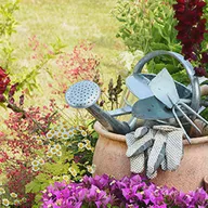 Minute jardin Limousin