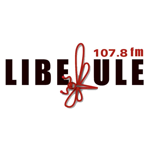 Logo Libellule FM