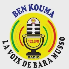 La Voix de Bara Musso