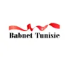 Babnet